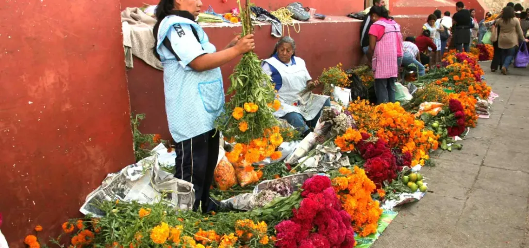 Día de muertos en Oaxaca, así es la tradición en estas fechas | Oaxaca Rifa